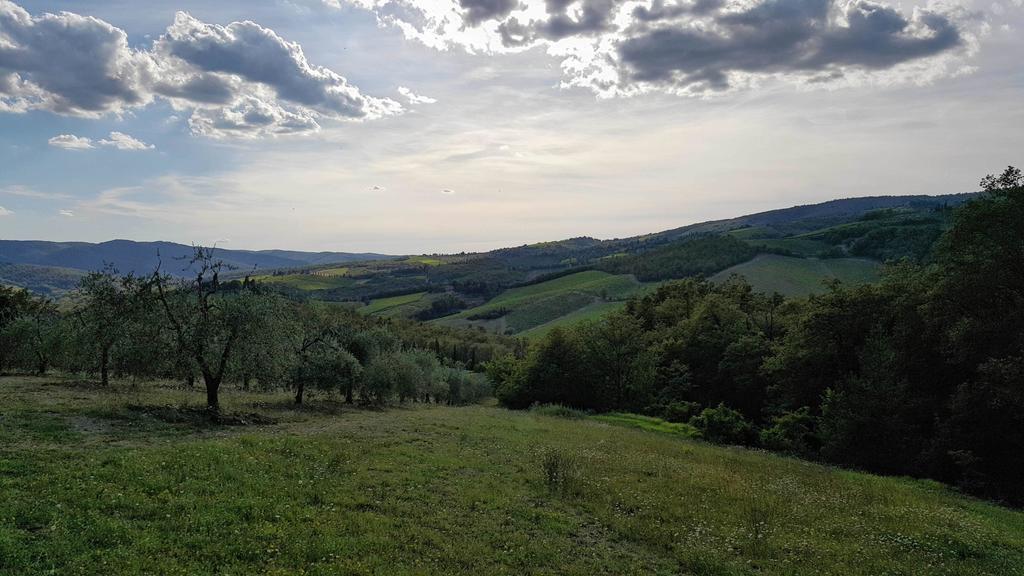 Holiday House Le Selvole Daire Radda in Chianti Dış mekan fotoğraf