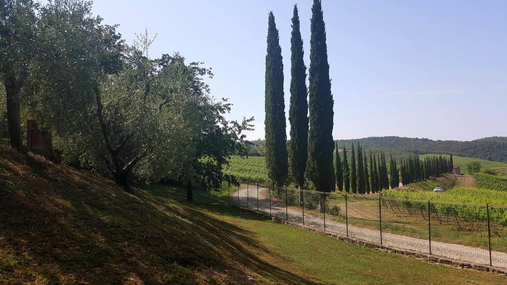 Holiday House Le Selvole Daire Radda in Chianti Dış mekan fotoğraf