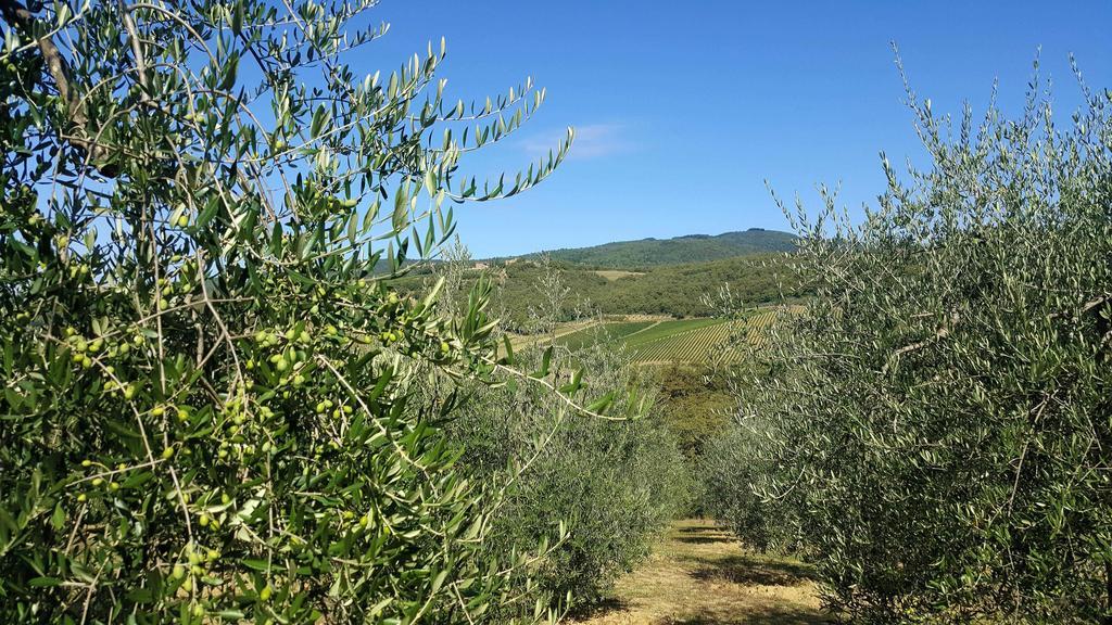 Holiday House Le Selvole Radda in Chianti Dış mekan fotoğraf