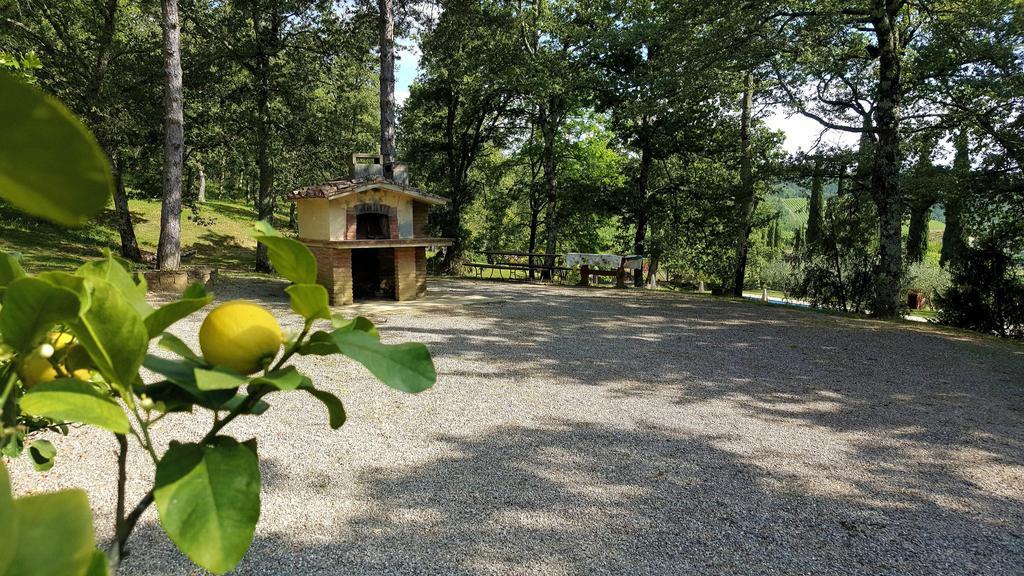 Holiday House Le Selvole Daire Radda in Chianti Dış mekan fotoğraf