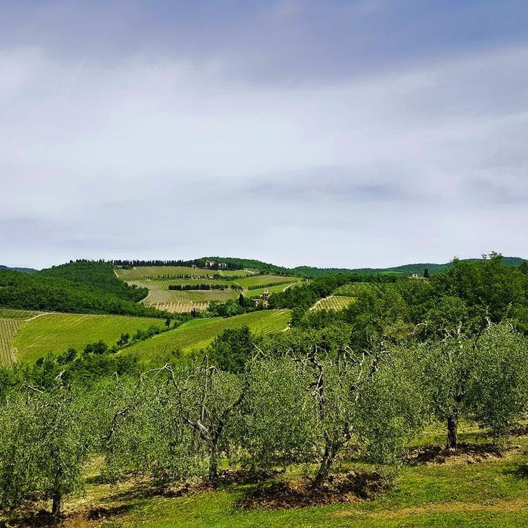 Holiday House Le Selvole Daire Radda in Chianti Oda fotoğraf