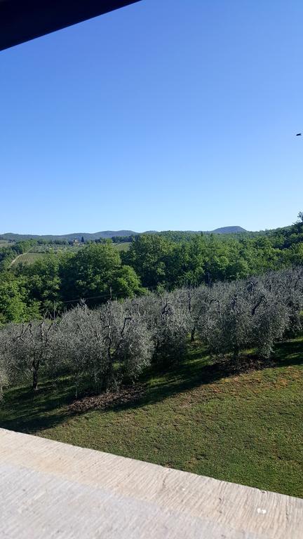 Holiday House Le Selvole Daire Radda in Chianti Dış mekan fotoğraf