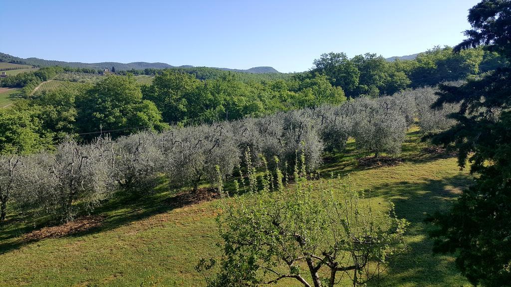 Holiday House Le Selvole Daire Radda in Chianti Dış mekan fotoğraf