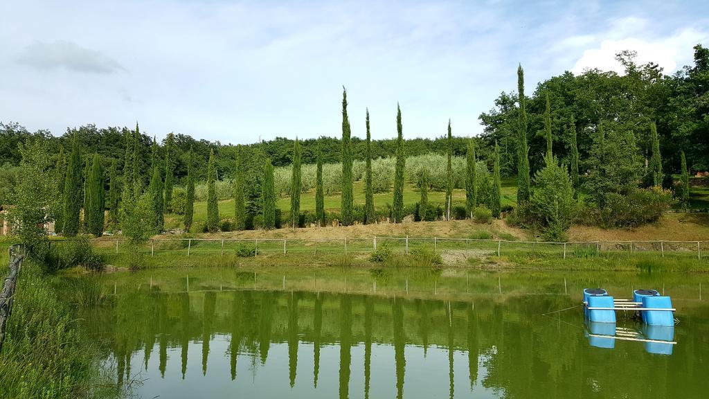 Holiday House Le Selvole Daire Radda in Chianti Dış mekan fotoğraf